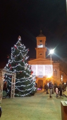 Новогодишња јелка на тргу Светог тројства