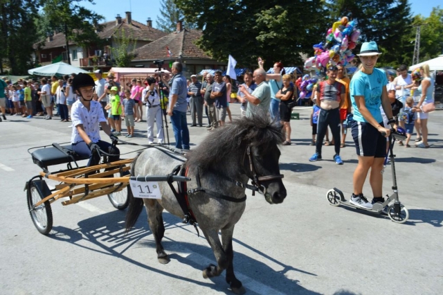 Најмлађи возач