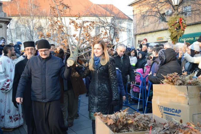 Градоначелница Сомбора Душанка Голубовић учествовала у свечаној литији и носила Бадњак