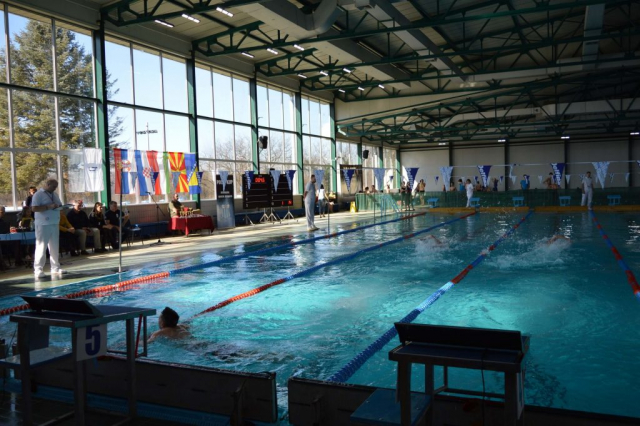 Једно од четири такмичења А категорије Пливачког савеза Србије