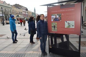 Антонија Нађ Косановић