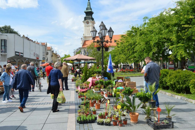 12. Међународни сајам цвећа у Сомбору