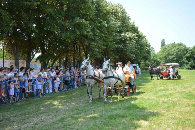 Циљ манифестације је да се учесници опусте и уживају заједно са публиком