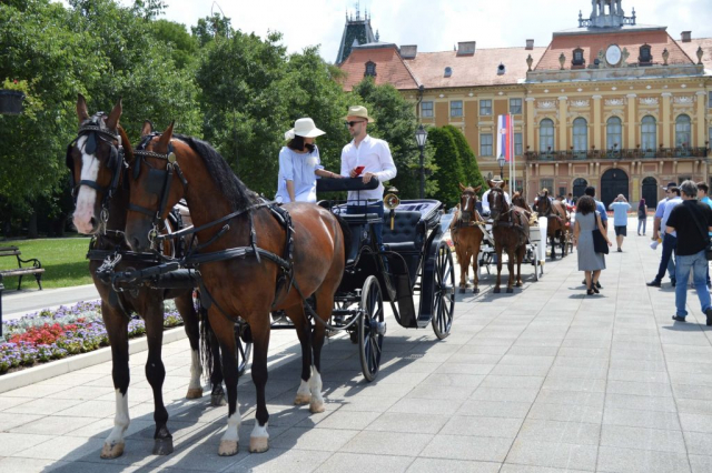 Амбасада Египта подржала је 15. Меморијал