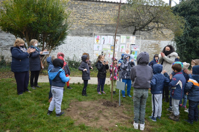 Акцију спроводе Gрад Сомбор, Културни центар и ЈКП „Зеленило“